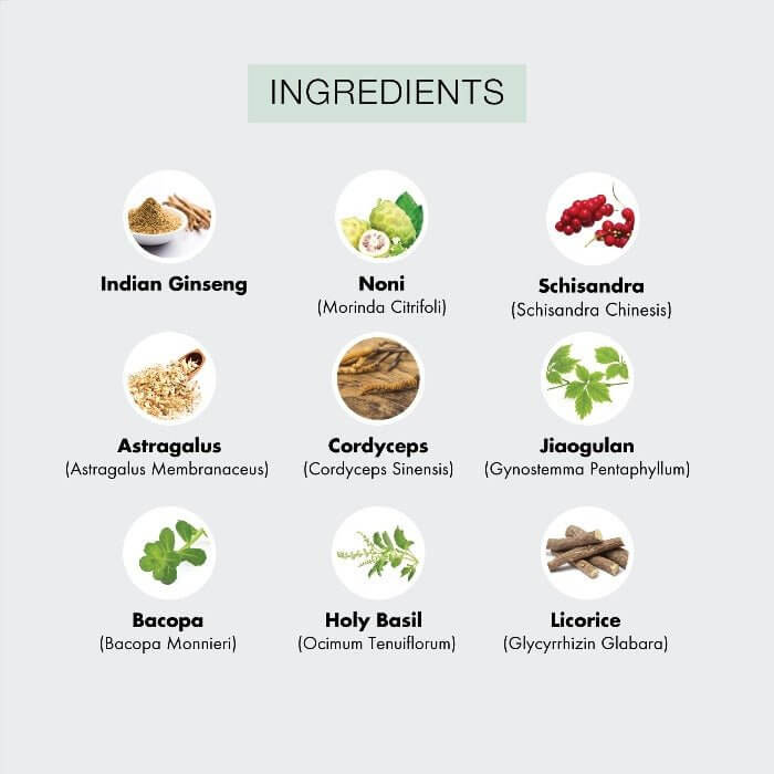 MD Adrenal Pro ingredients: Indian ginseng, Noni, Schisandra, Cordyceps, Holy Basil, Bacopa, Astragalus, and Jiaogulan adaptogens

